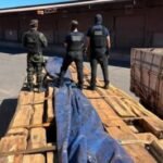 BRASIL: ANÁLISIS PRELIMINARES PONEN EN DUDA PRESUNTO TRÁFICO DE COCAÍNA EN MADERA BOLIVIANA