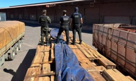 BRASIL: ANÁLISIS PRELIMINARES PONEN EN DUDA PRESUNTO TRÁFICO DE COCAÍNA EN MADERA BOLIVIANA