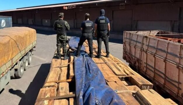 BRASIL: ANÁLISIS PRELIMINARES PONEN EN DUDA PRESUNTO TRÁFICO DE COCAÍNA EN MADERA BOLIVIANA