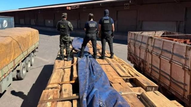 BRASIL: ANÁLISIS PRELIMINARES PONEN EN DUDA PRESUNTO TRÁFICO DE COCAÍNA EN MADERA BOLIVIANA