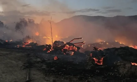 TARIJA DECLARA EMERGENCIA POR INCENDIOS QUE YA DEJARON 8.000 HECTÁREAS AFECTADAS