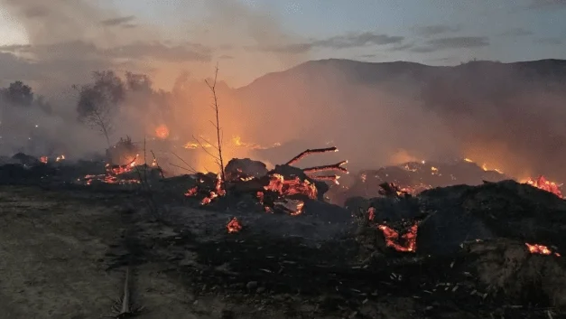 TARIJA DECLARA EMERGENCIA POR INCENDIOS QUE YA DEJARON 8.000 HECTÁREAS AFECTADAS