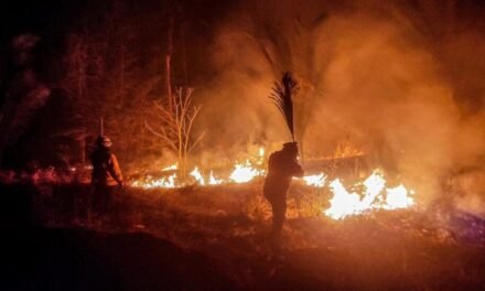 ALERTA POR INCENDIOS: TARIJA Y SANTA CRUZ ACUMULAN 1.169 FOCOS DE CALOR
