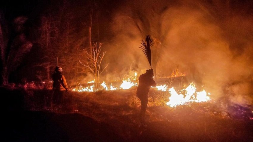 ALERTA POR INCENDIOS: TARIJA Y SANTA CRUZ ACUMULAN 1.169 FOCOS DE CALOR