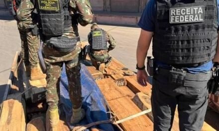 POLICÍA FEDERAL DE BRASIL DESCARTA COCAÍNA EN MADERA VINCULADA A BOLIVIA