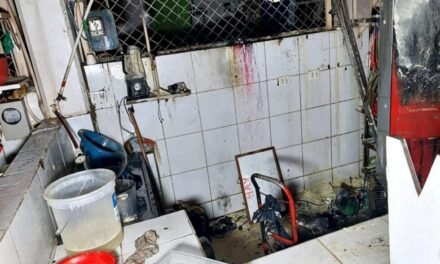 INCENDIO EN EL MERCADO MUTUALISTA DEJÓ A UNA MUJER CON QUEMADURAS