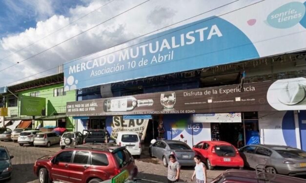 TCP RATIFICA QUE LOS TERRENOS DEL MUTUALISTA DEBEN PASAR A UN PRIVADO