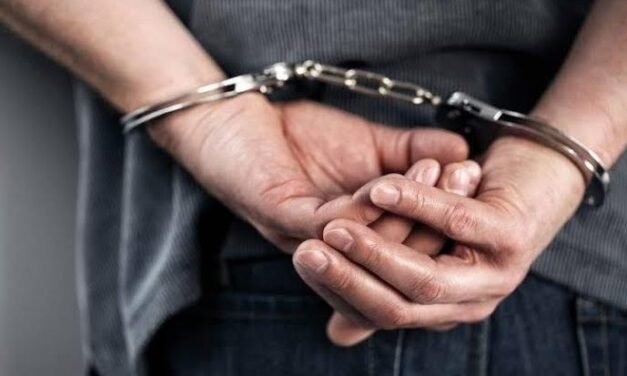 APREHENDEN A PRESUNTO RESPONSABLE DE DIFUNDIR MATERIAL DE ABUSO SEXUAL INFANTIL