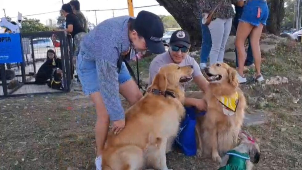 SAN ROQUE: “A MOVER LA COLITA” LLEVA ADOPCIÓN Y VACUNACIÓN A LOS CANINOS