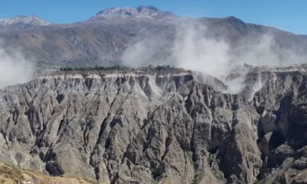 TERREMOTO DE MAGNITUD 7,2 SACUDE EL SUR DE PERÚ