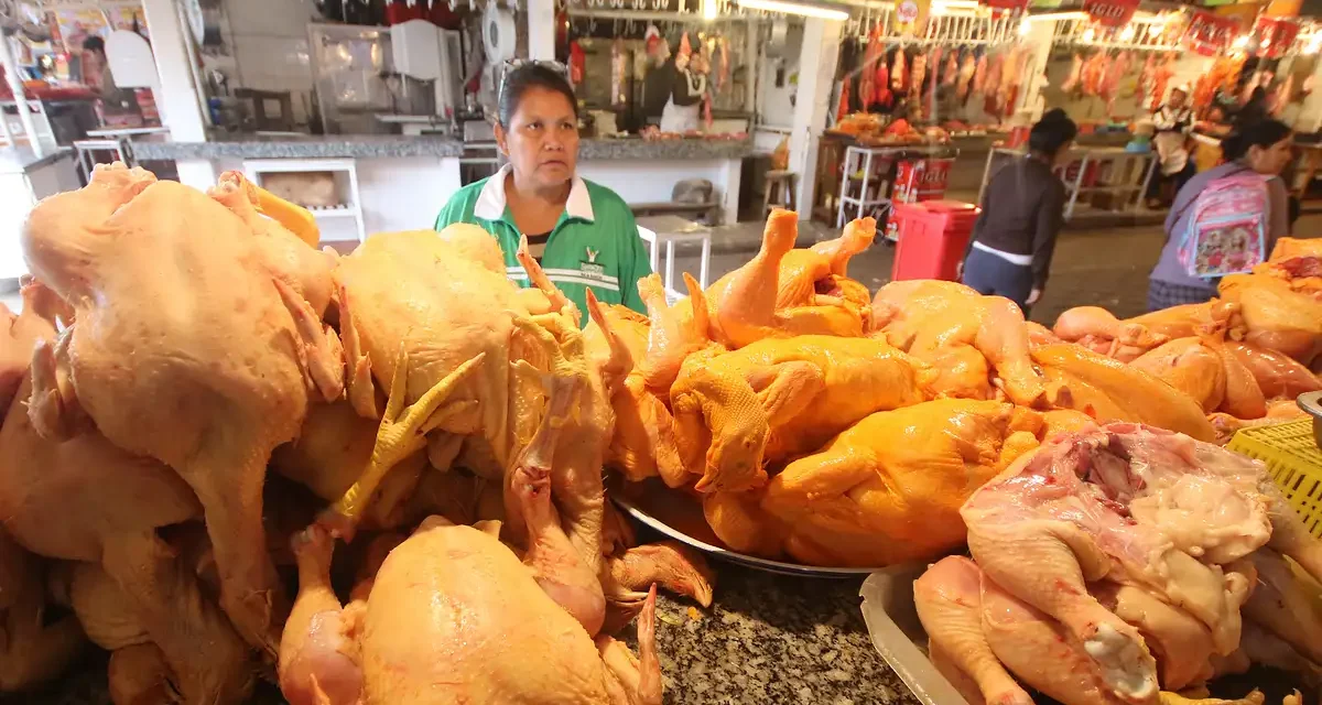 FALTA DE DIÉSEL FRENA ENVÍO DE POLLO Y GENERA BAJA DE PRECIOS EN SANTA CRUZ
