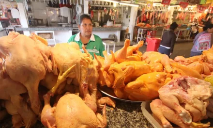 FALTA DE DIÉSEL FRENA ENVÍO DE POLLO Y GENERA BAJA DE PRECIOS EN SANTA CRUZ
