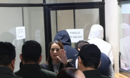 LAURA ROJAS OBTIENE ARRESTO DOMICILIARIO EN CASO MALETAS, PERO SEGUIRÁ EN PALMASOLA
