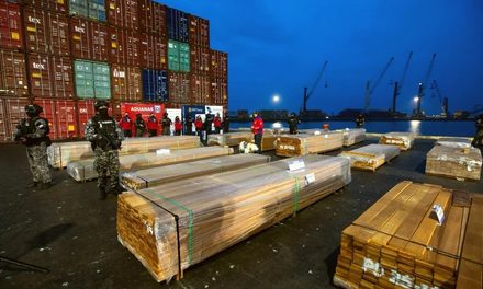 MINISTRO OVIEDO DENUNCIA QUE CHILE NO ENTREGA MUESTRAS DE LA MADERA DEL CASO MADERAS
