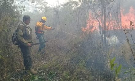 INCENDIO FORESTAL PONE EN RIESGO A LA COMUNIDAD PEÑAS ALTAS EN SAN IGNACIO