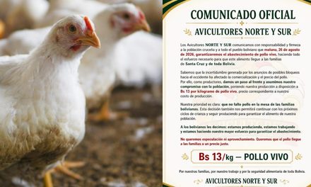 AVICULTORES GARANTIZAN POLLO VIVO A BS 13 EL KILO Y BUSCAN FRENAR LA ESPECULACIÓN