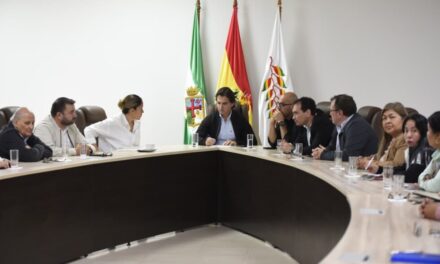 ALCALDÍA Y SOCIEDAD DE INGENIEROS INSPECCIONARÁN 89 MERCADOS DE SANTA CRUZ