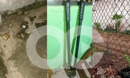 VIOLENTARON CANDADOS Y CORTARON EL CERCO: ASÍ ESCAPARON DOS REOS DE PALMASOLA