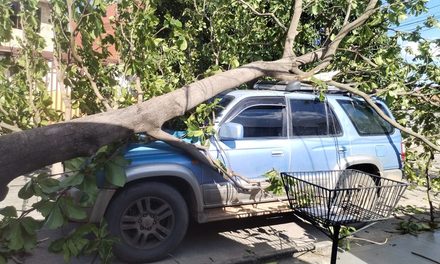 MUNICIPIO ACTIVA ALERTA ROJA POR FUERTES VIENTOS Y REPORTA 23 EMERGENCIAS EN SANTA CRUZ