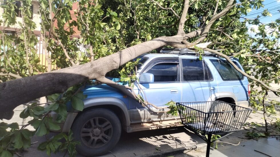 MUNICIPIO ACTIVA ALERTA ROJA POR FUERTES VIENTOS Y REPORTA 23 EMERGENCIAS EN SANTA CRUZ