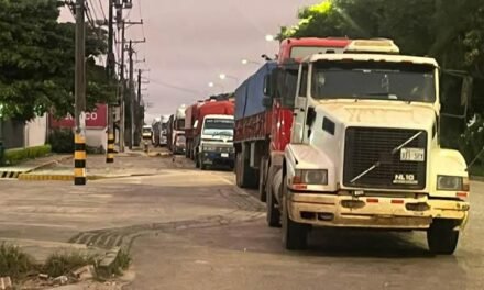 TRANSPORTE PESADO ADVIERTE CON MEDIDAS SI EN 15 DÍAS NO SE NORMALIZA EL DIÉSEL