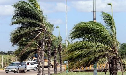FUERTES VIENTOS DEJAN 24 EMERGENCIAS EN SANTA CRUZ Y ACTIVAN ALERTA ROJA MUNICIPAL