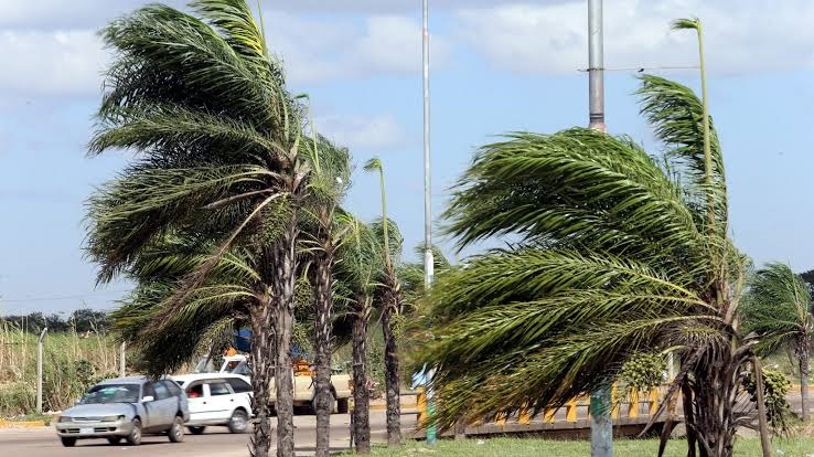 FUERTES VIENTOS DEJAN 24 EMERGENCIAS EN SANTA CRUZ Y ACTIVAN ALERTA ROJA MUNICIPAL