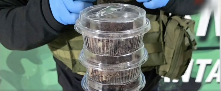 MENOR DE EDAD ES APREHENDIDA POR PRESUNTA VENTA DE BROWNIES CON MARIHUANA EN SANTA CRUZ