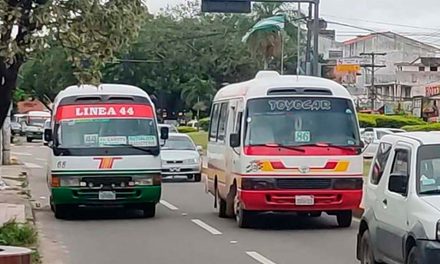 TRANSPORTE URBANO CRUCEÑO SE SUMA AL PARO NACIONAL DEL 28 DE SEPTIEMBRE