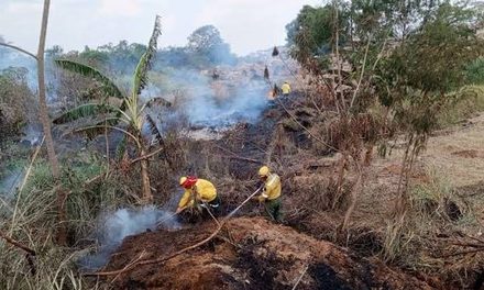 SANTA CRUZ MANTIENE VIGILANCIA ANTE 347 FOCOS DE CALOR DETECTADOS ESTE LUNES