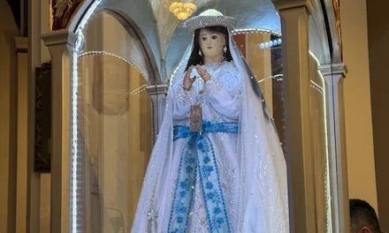 CRONENBOLD ACLARA: “NO VAMOS A SACARNOS LA VIRGEN DE COTOCA”