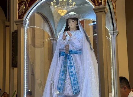 CRONENBOLD ACLARA: “NO VAMOS A SACARNOS LA VIRGEN DE COTOCA”