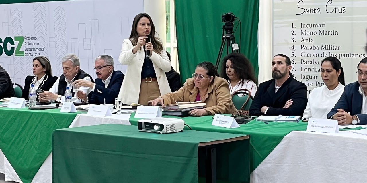 SANTA CRUZ EXIGE 690 ÍTEMS DE SALUD Y GOBIERNO EVALUARÁ AMPLIAR LA ASIGNACIÓN