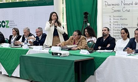 SANTA CRUZ EXIGE 690 ÍTEMS DE SALUD Y GOBIERNO EVALUARÁ AMPLIAR LA ASIGNACIÓN