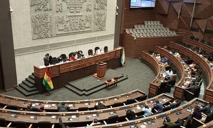 COMISIÓN DE DIPUTADOS APRUEBA AMPLIAR EL ESTADO DE EXCEPCIÓN POR TRES MESES