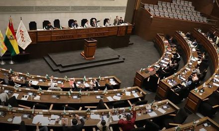 DIPUTADOS APRUEBA QUE EL GOBIERNO ASUMA PREDIARIOS Y BONO DE VACUNACIÓN