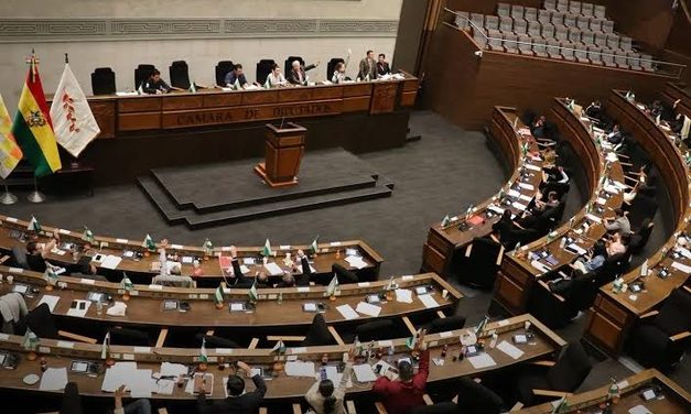 DIPUTADOS APRUEBA QUE EL GOBIERNO ASUMA PREDIARIOS Y BONO DE VACUNACIÓN
