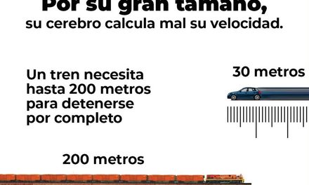 SEMANA MUNDIAL DE LA SEGURIDAD VIAL: NO SUBESTIME LA DISTANCIA NI LA VELOCIDAD DEL TREN