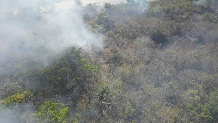 INCENDIOS FORESTALES: SANTA CRUZ MANTIENE MONITOREO EN DOS ZONAS