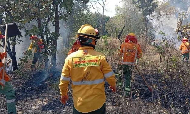SANTA CRUZ REPORTA 3.047 FOCOS DE CALOR EN OCTUBRE Y MANTIENE ALERTA NARANJA