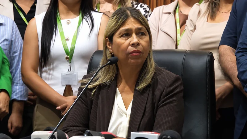 ¿QUIÉN ES MABEL ANDRADE Y CUÁL ES SU TRAYECTORIA EN EL MINISTERIO PÚBLICO?