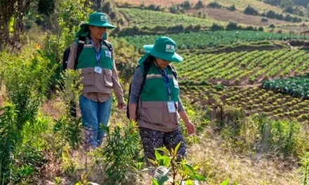PAZ: EL CENSO AGROPECUARIO 2026 DEFINIRÁ EL NUEVO RUMBO PRODUCTIVO DE BOLIVIA