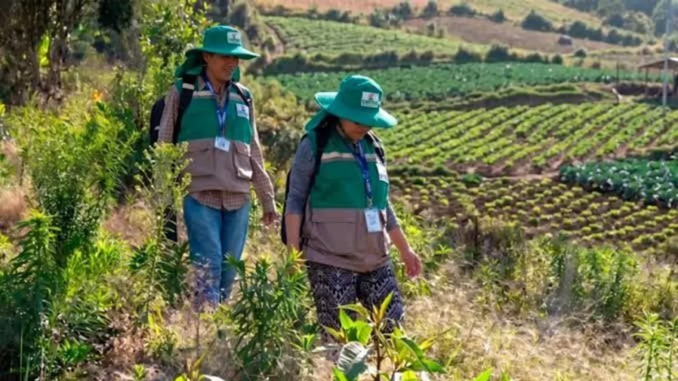 PAZ: EL CENSO AGROPECUARIO 2026 DEFINIRÁ EL NUEVO RUMBO PRODUCTIVO DE BOLIVIA